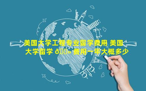 美国大学工程专业留学费用 美国大学留学 🌻 费用一年大概多少人民币